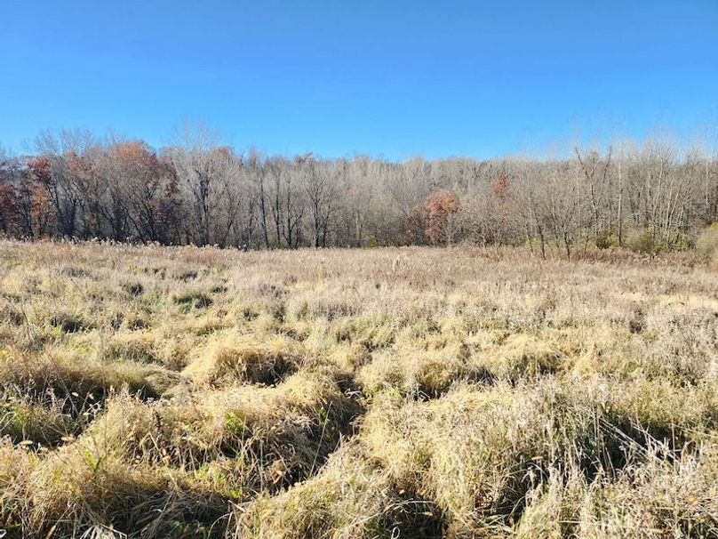 98f91847-416a-44cd-ba6b-bf9c7203f5dc