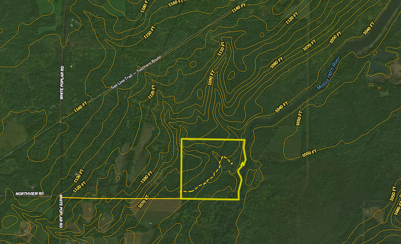 Screen Shot 2024-05-04 at 12.19.57 PM