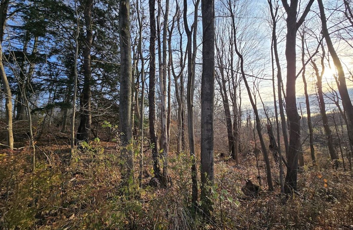 Wayne_25.53_OConnor3