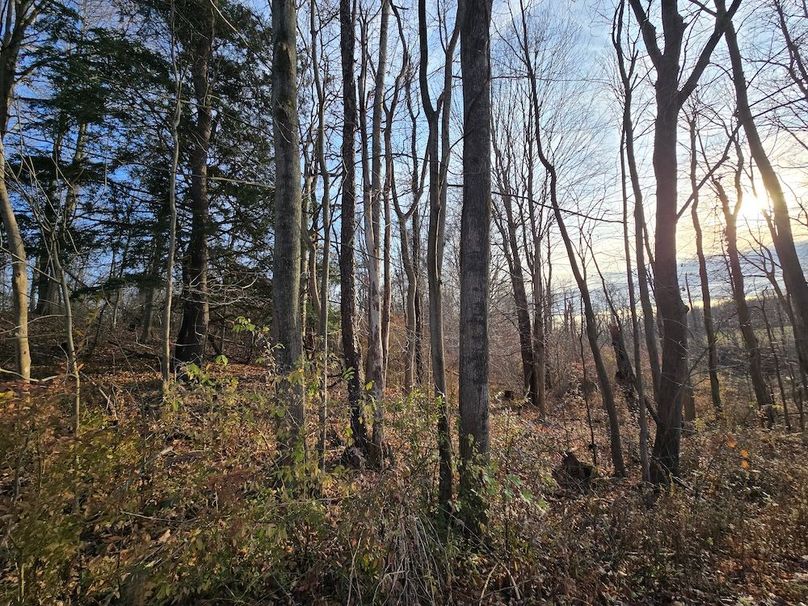 Wayne_25.53_OConnor3