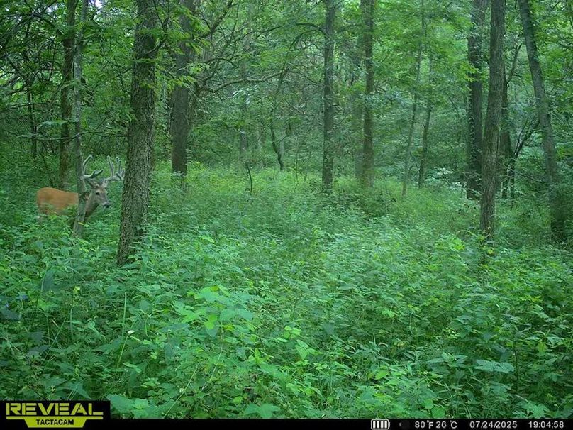 860322063988585-100-3-07242025190515-W1004103