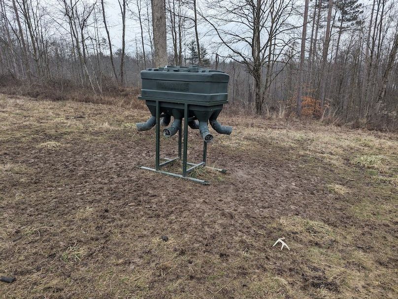 PXL_20240131_165347527