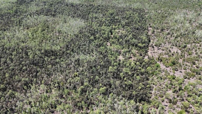 DJI_20260403130802_0485_D