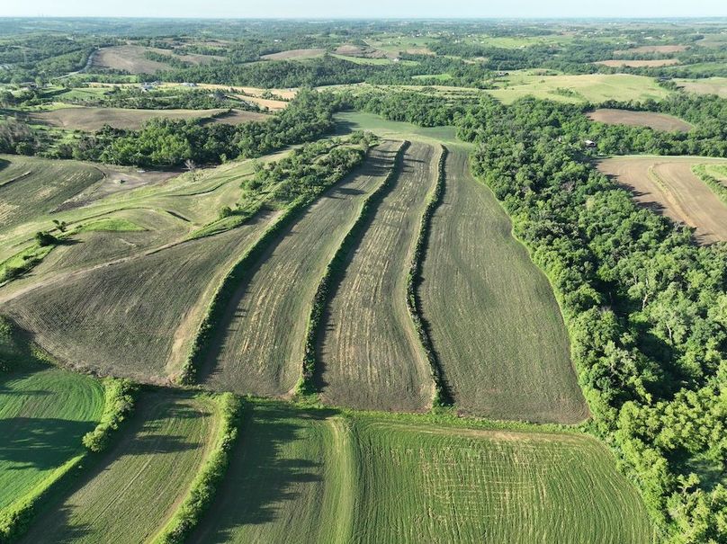 dji_fly_20260601_075616_513_1780319372681_photo