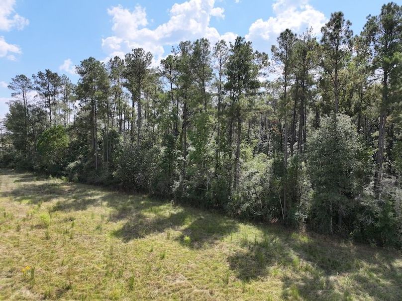 dji_fly_20250929_131038_0575_1759177333242_photo