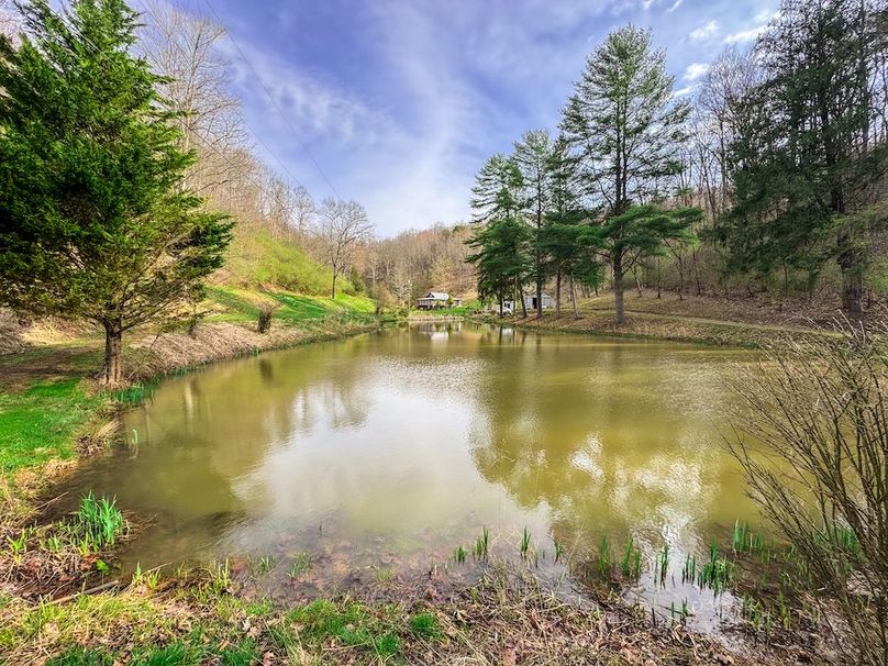 Ritchie, WV 206.08 AC Curriden-05