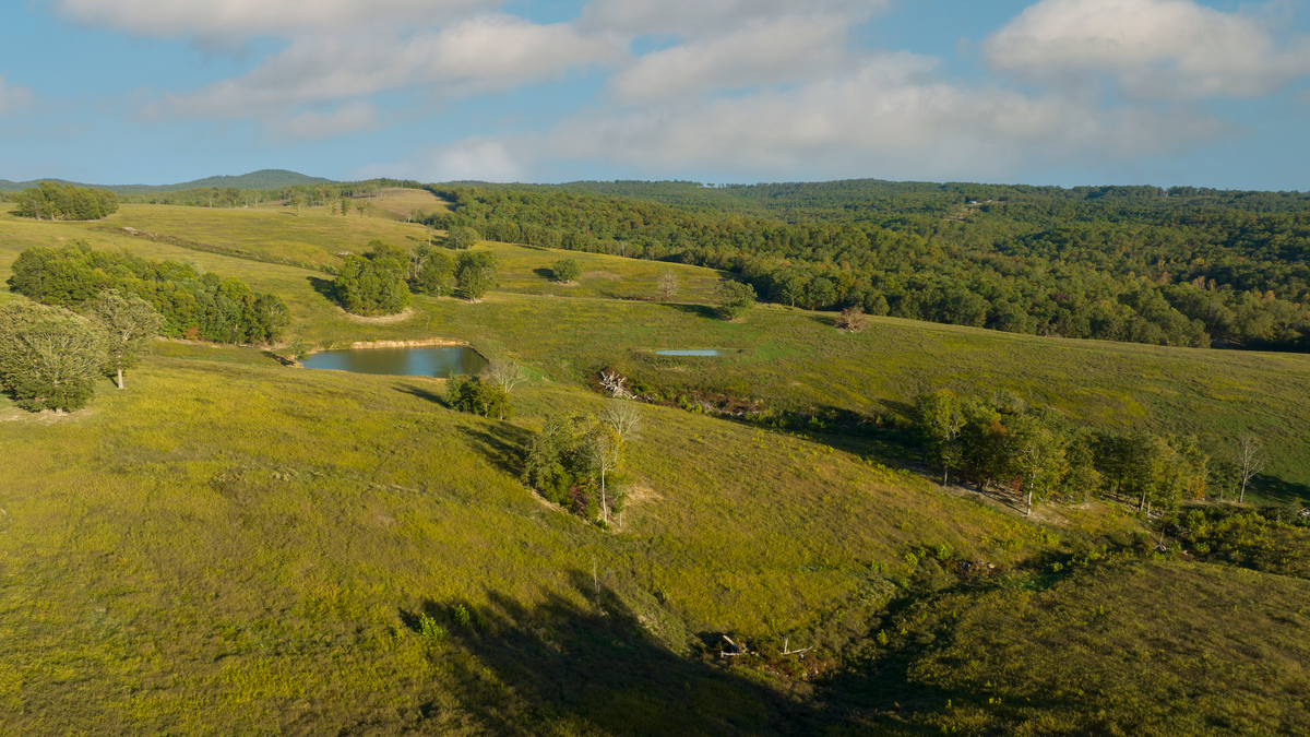 Large Acreage With Lodge And Barn Overlooking Bull Shoals Lake