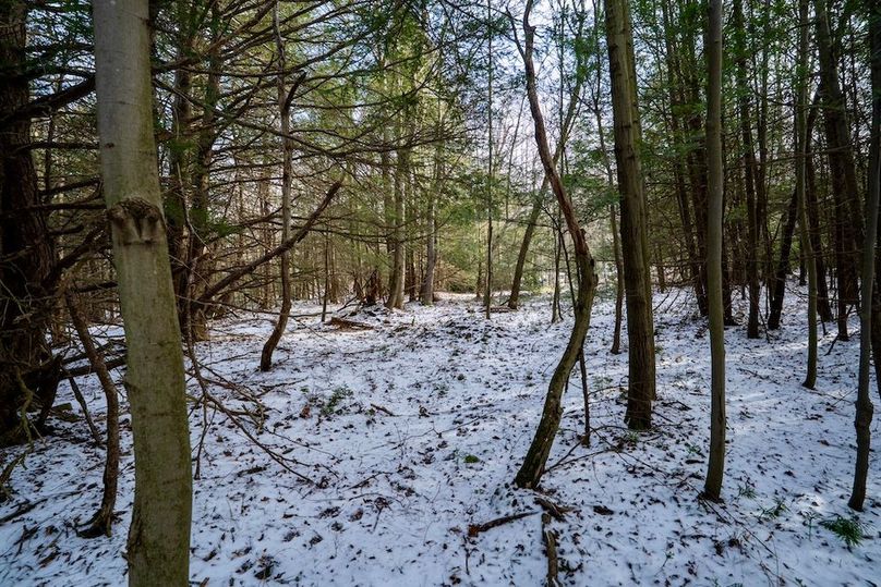 Somerset, 23.59, Keller-47