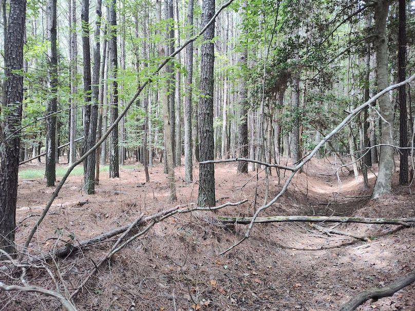 IMG_20250830_121555623