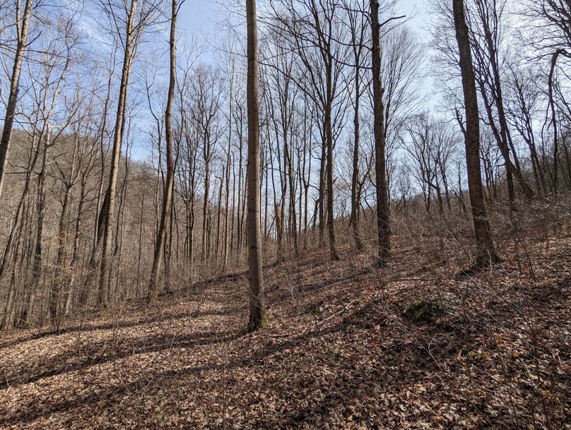 PXL_20230301_165241534