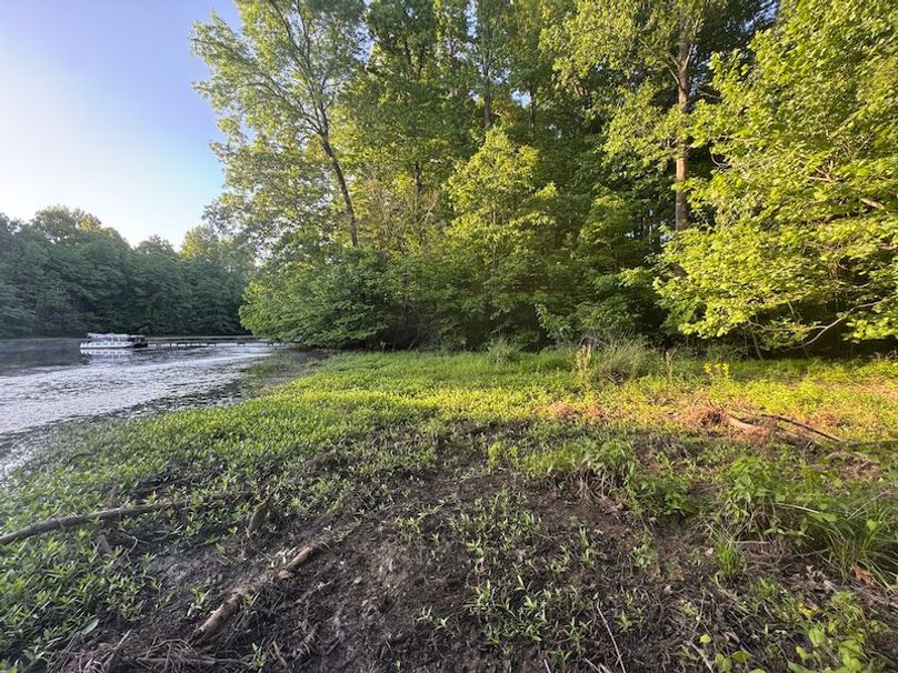 Desoto 8.3 Clement (Final Frontier) -12