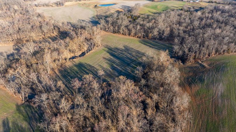 DJI_20260220075823_0009_D