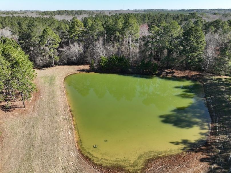 dji_fly_20240207_103112_24_1707320839225_photo