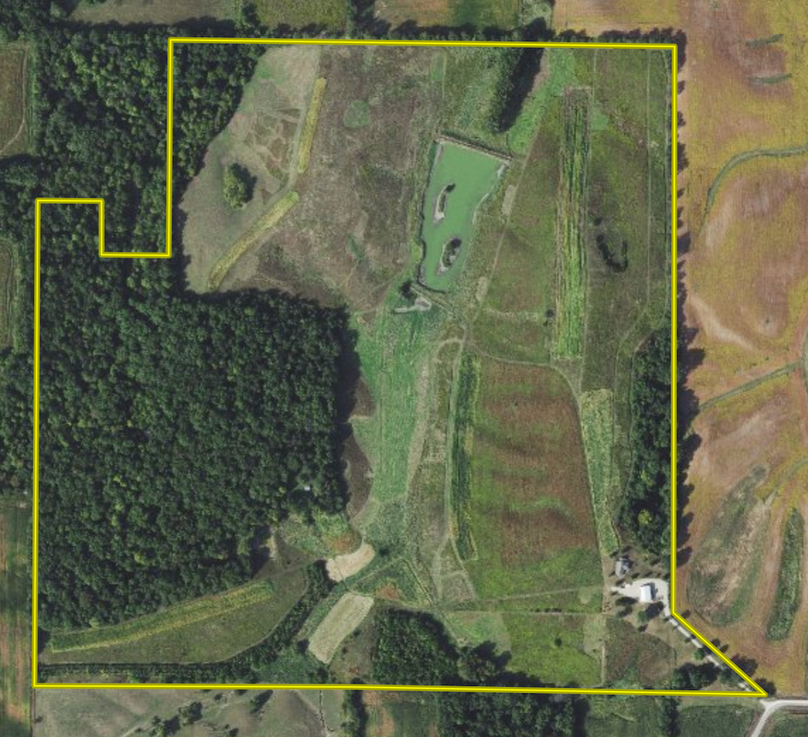 Screenshot 2024-09-20 at 10.31.29 AM