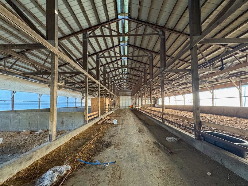 Monroe 5.31-23 Large