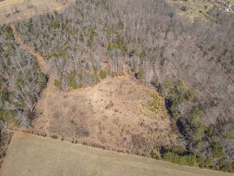 10-DJI_20260228120503_0003_W