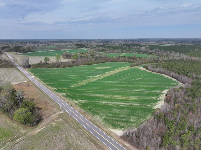 DJI_20260303063835_0555_D