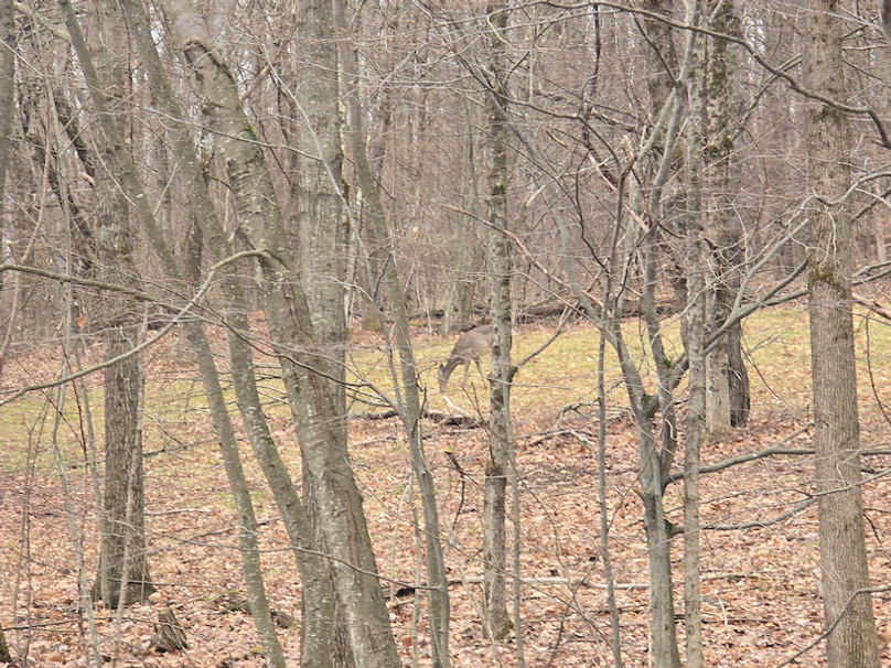 photo_38eb0b4f-0817-4658-b9b6-f7cd635ab137