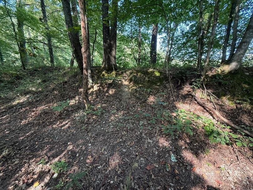 Adair 24.27 Hartsog 7 