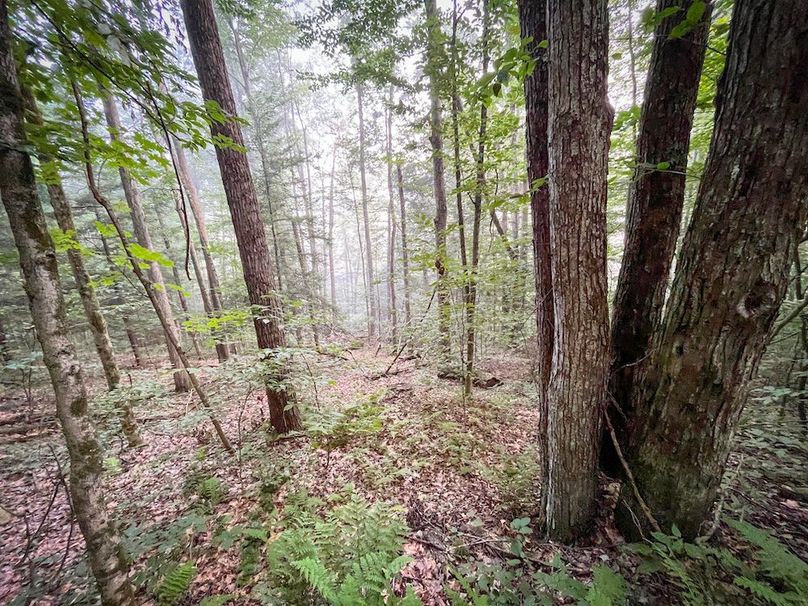 Tioga_82.5_Williams_Photos_3