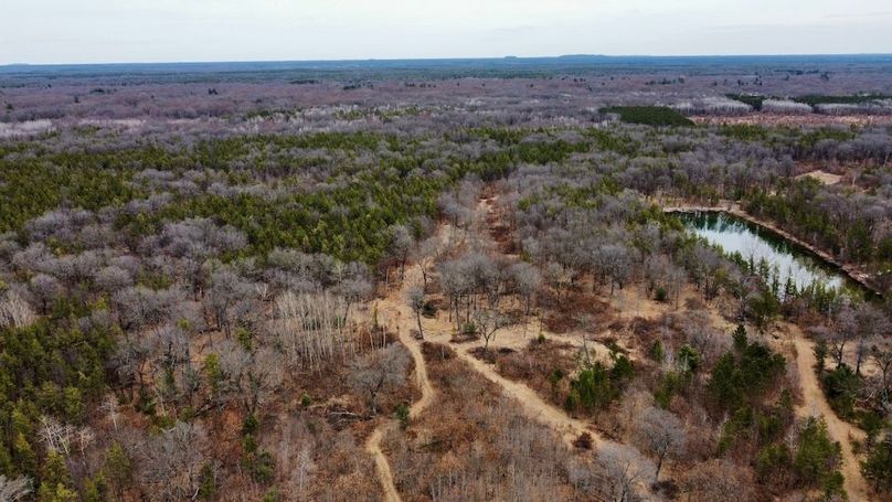 dji_fly_20250404_125828_731_1744067540695_photo_optimized 2