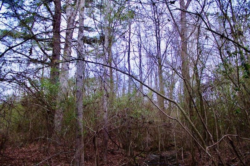 8EDCF606-16DF-4410-9E45-6A86A1284F1F_1_105_c