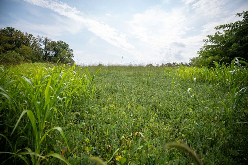 MCHENRY 32 RECENT UPDATES-27