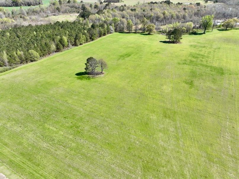 dji_fly_20260317_115714_417_1773763413384_photo