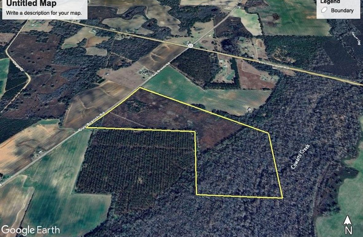 Aerial 1 Houston 89 Lurie