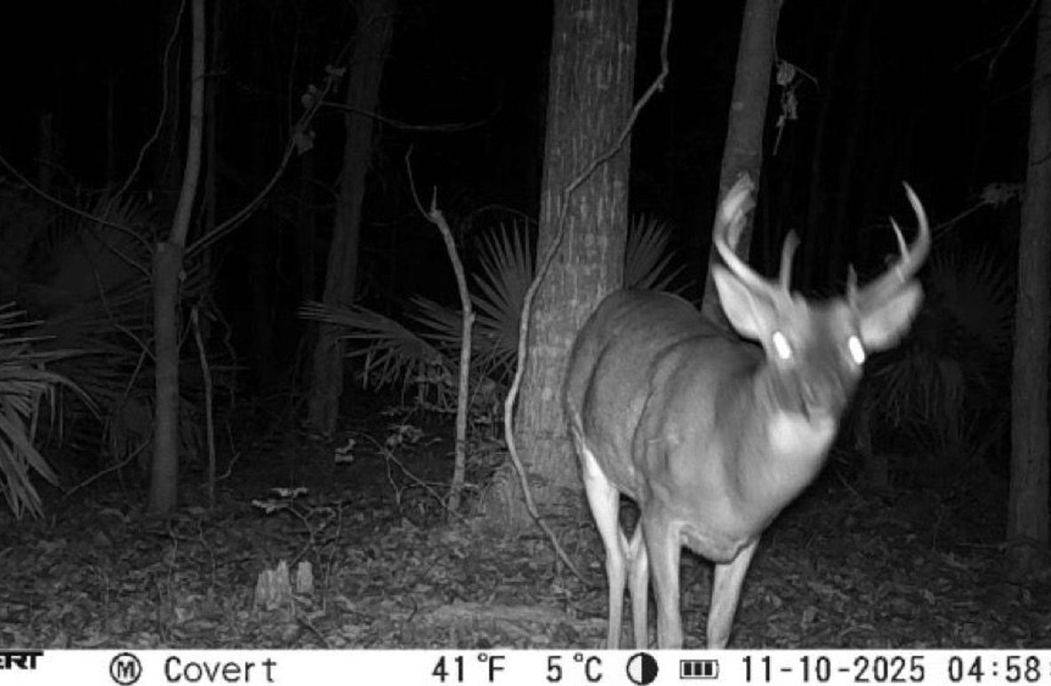 11_10_2025_04_58_57_3246458660