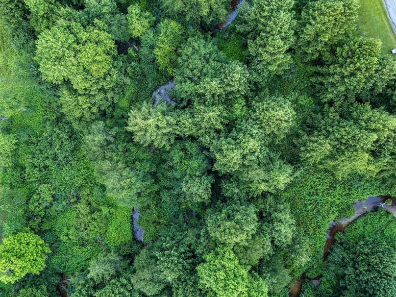 DJI_20250702042429_0021_D