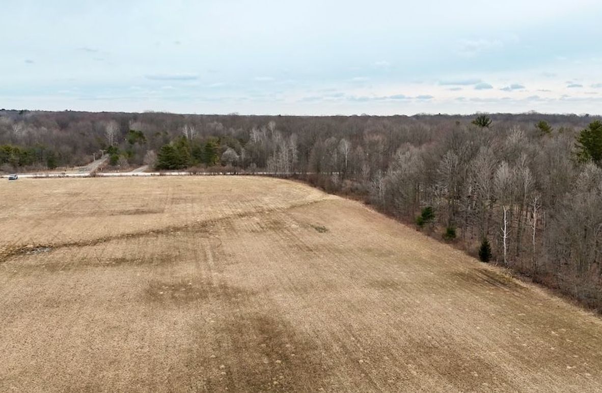 DJI_20260324135649_0317_D (1)