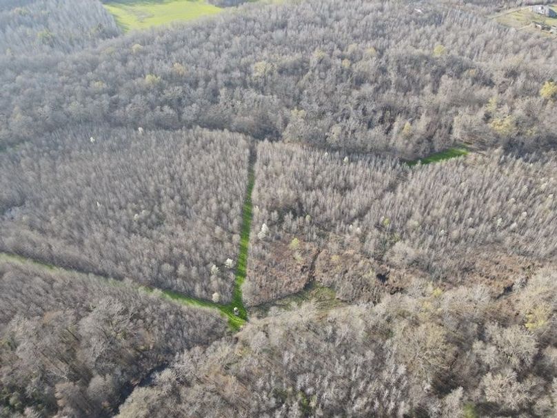 dji_fly_20240303_162422_107_1709504670785_photo copy