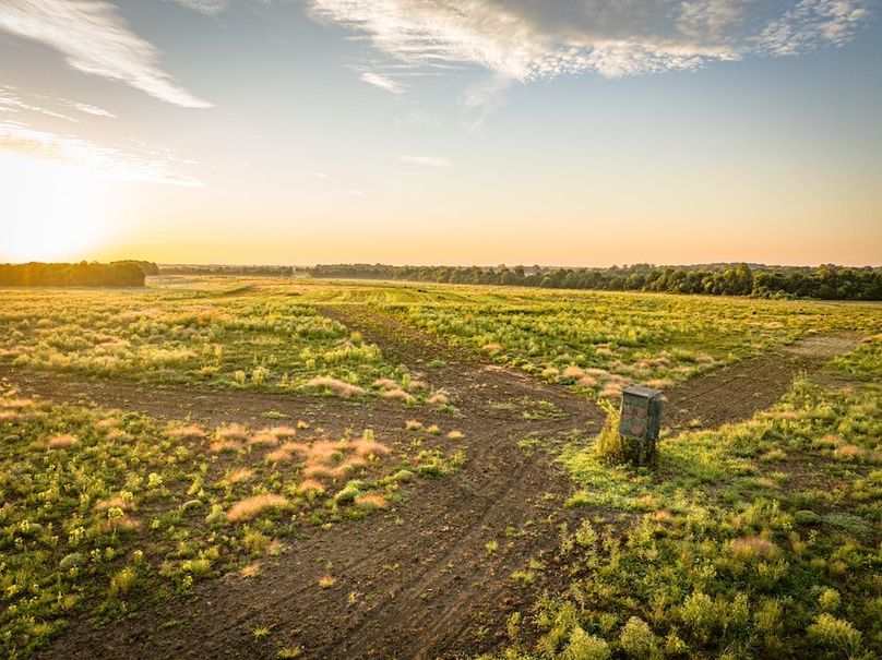 Copy of Clay 374.13-14