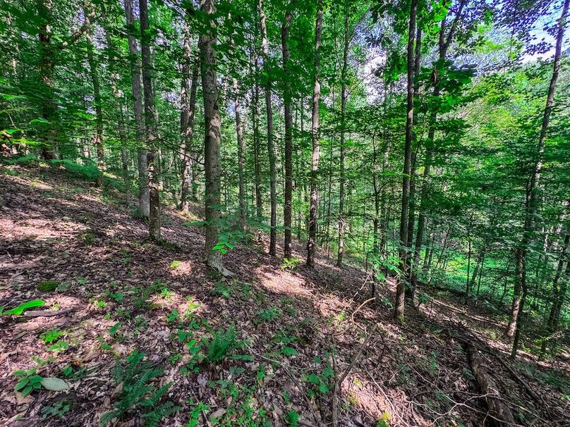 Lewis, WV 105 AC Miller-47