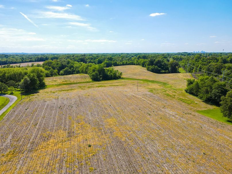 Copy of st clair 25 auction(7)