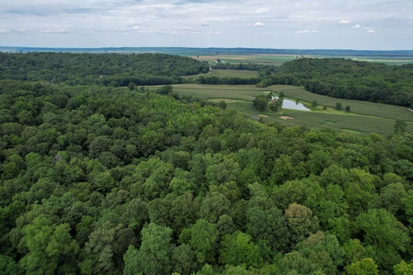 DJI_0046