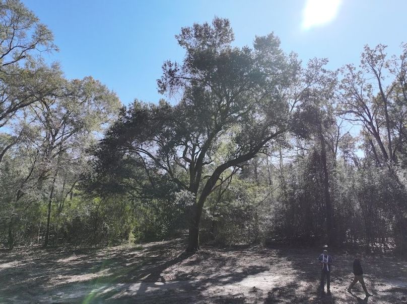 dji_fly_20251209_121504_0754_1765308502476_photo