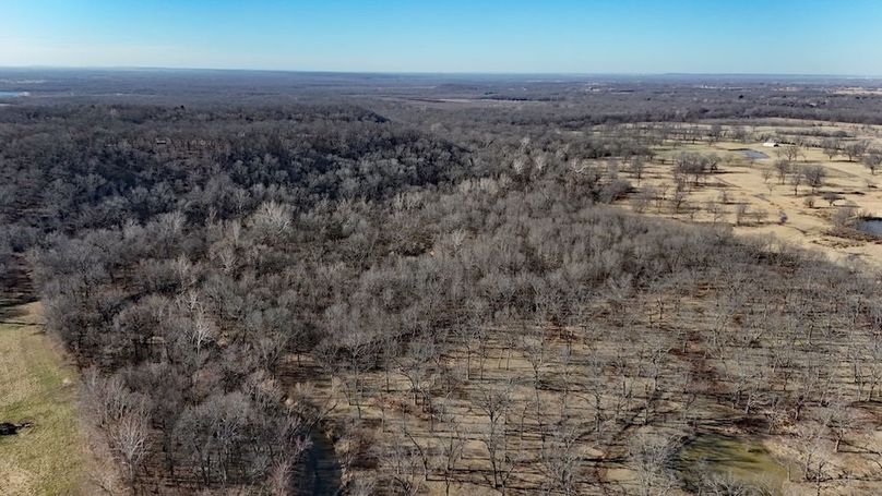 DJI_20260220111330_0094_D