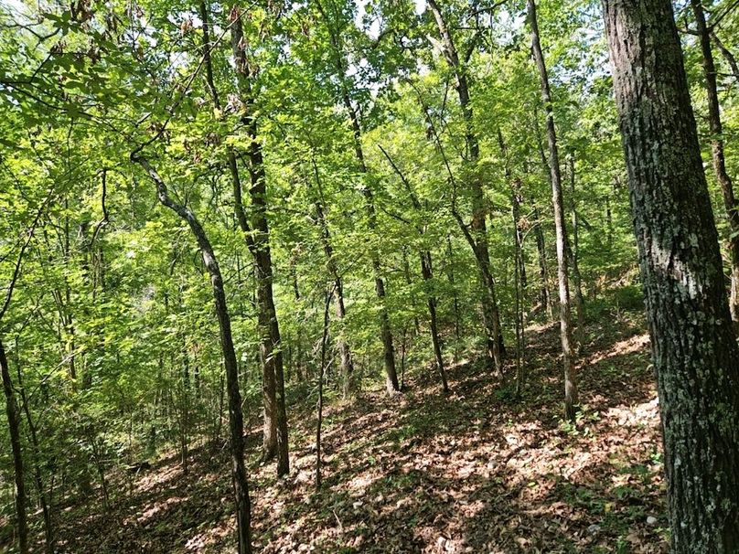 DJI_20240808_103927_144