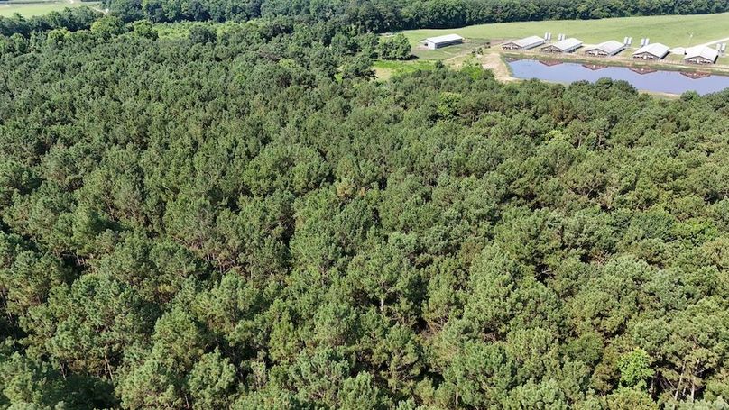 DJI_20250627100136_0121_D