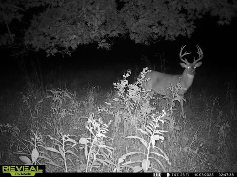 Trail Cam