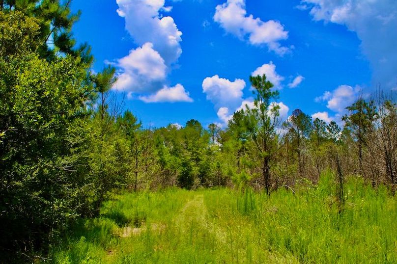 080EFEB1-59BE-4F93-87A1-FFE9D2F44496_1_201_a