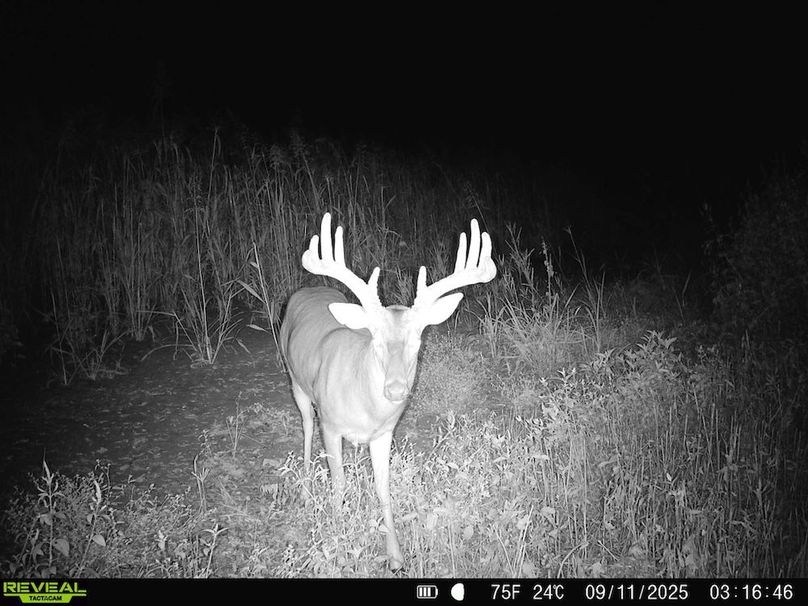 Copy of Copy of Noxubee 222.1 Trail Cam-1