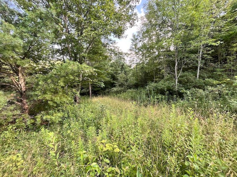 Chemung_78.26+Gutchess_Lumber_Photos_27