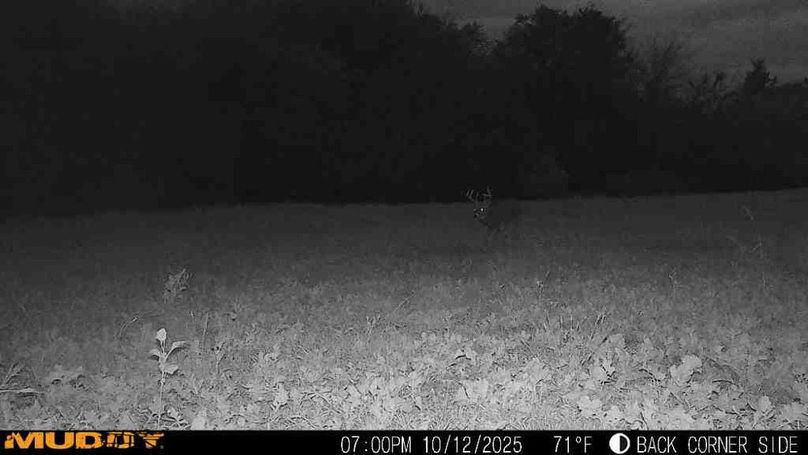 25101219005000000609_ColorizationType.none