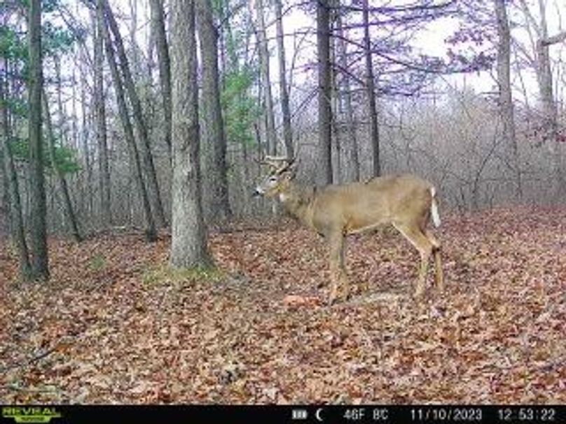 b27401f5-e41b-42ce-af40-ba343d6597cf