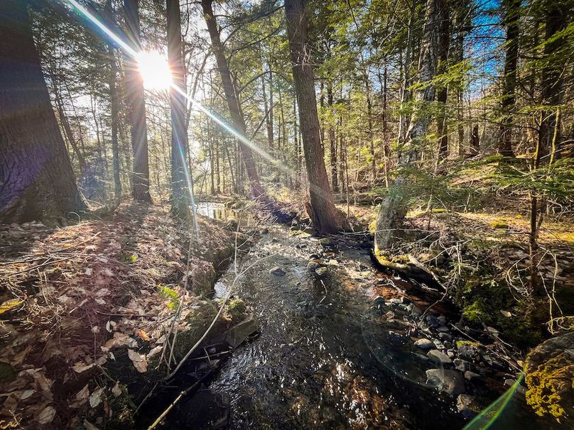 Oswego_17.88_Feld_Photos_73