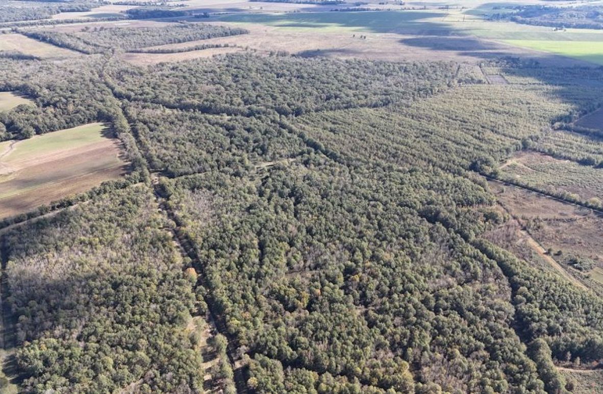 DJI_20241125033318_0228_D