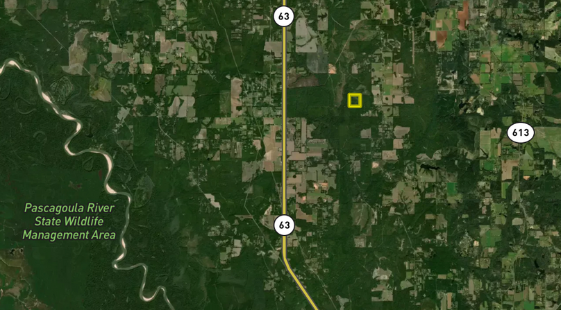 Screen Shot 2023-11-20 at 1.03.26 PM